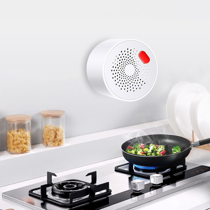 Tuya-Capteur de gaz naturel do - Smart Home Network avis et prix