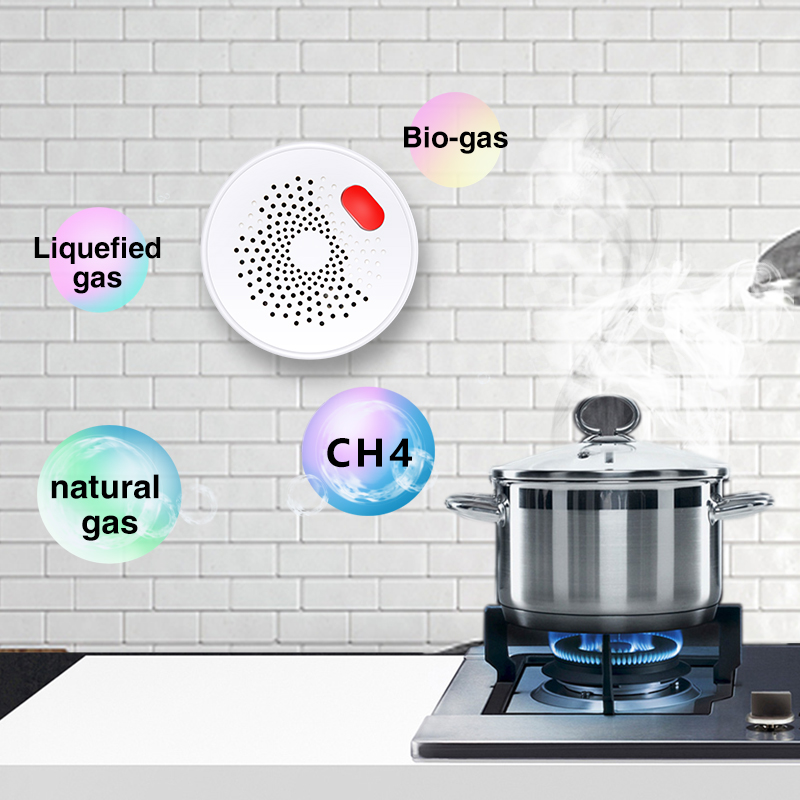 Tuya-Capteur de gaz naturel do - Smart Home Network avis et prix