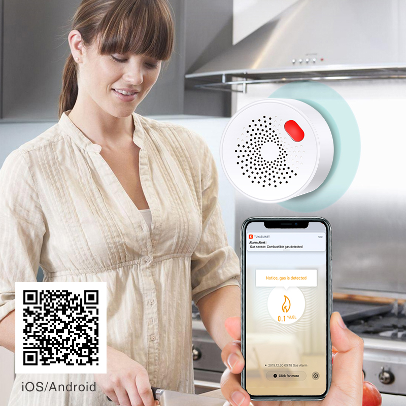 Tuya-Capteur de gaz naturel do - Smart Home Network avis et prix